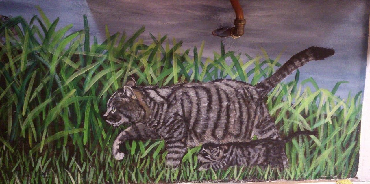 Dorpgezicht Dieren, jagende katten