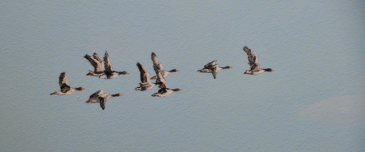 Dorpgezicht Dieren, vlucht vogels