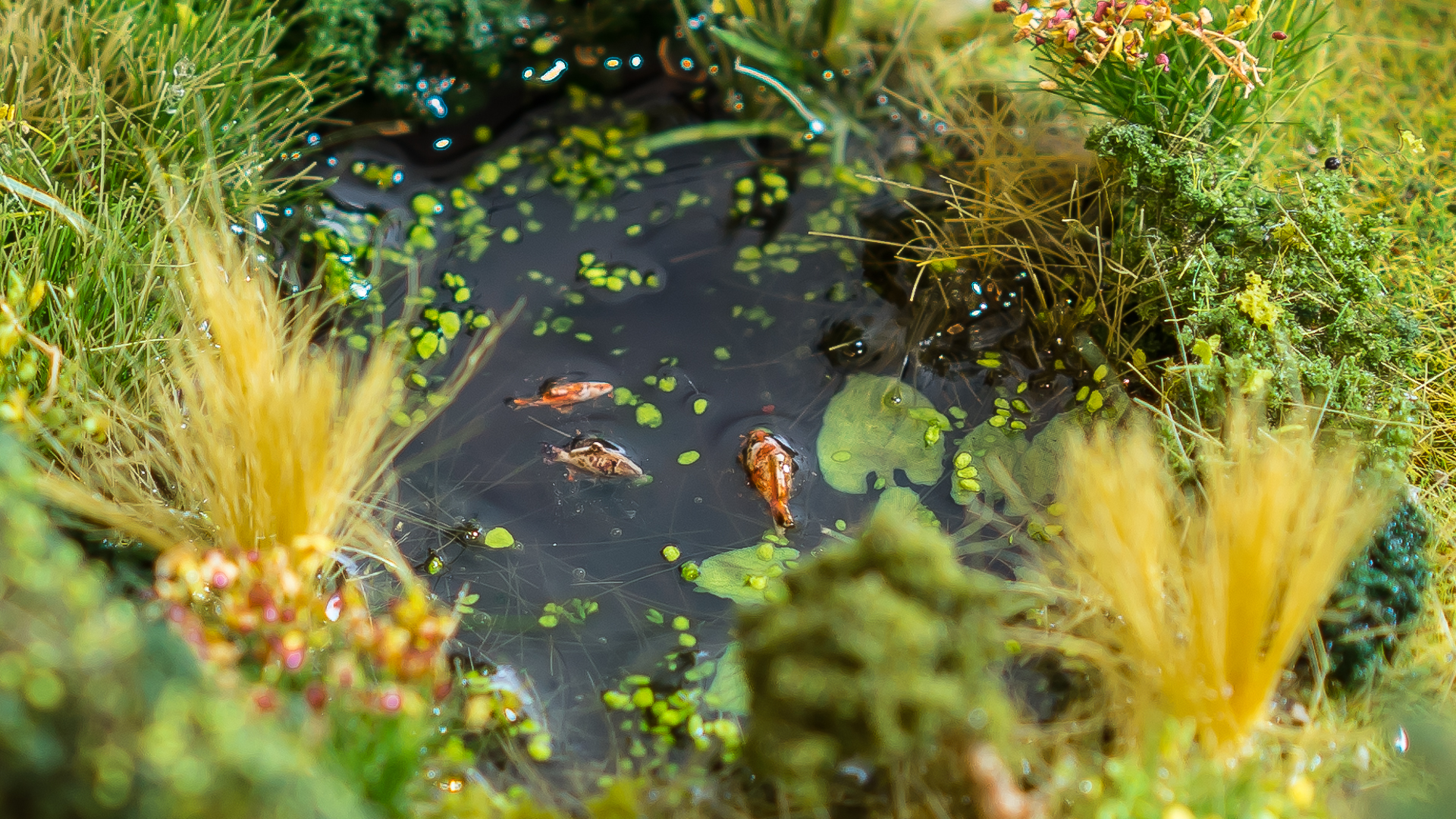 Diorama Duurzame wijk, detail