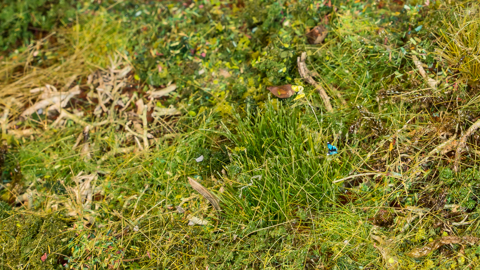 Diorama Duurzame wijk, detail